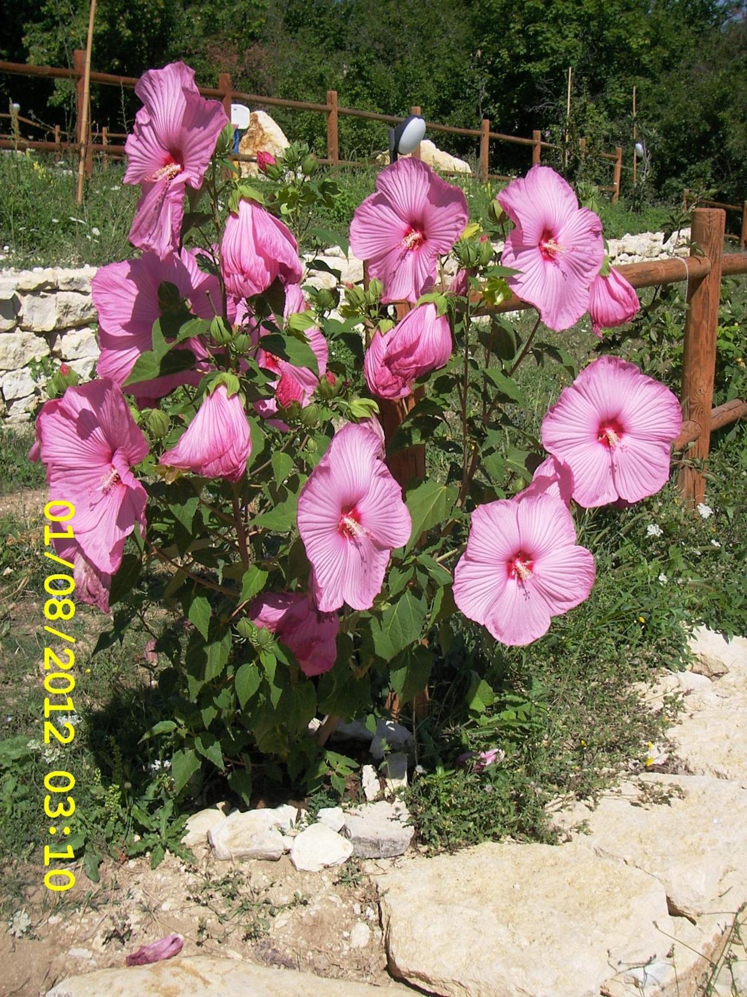 Country House Antiche Dimore Abbateggio Exterior photo